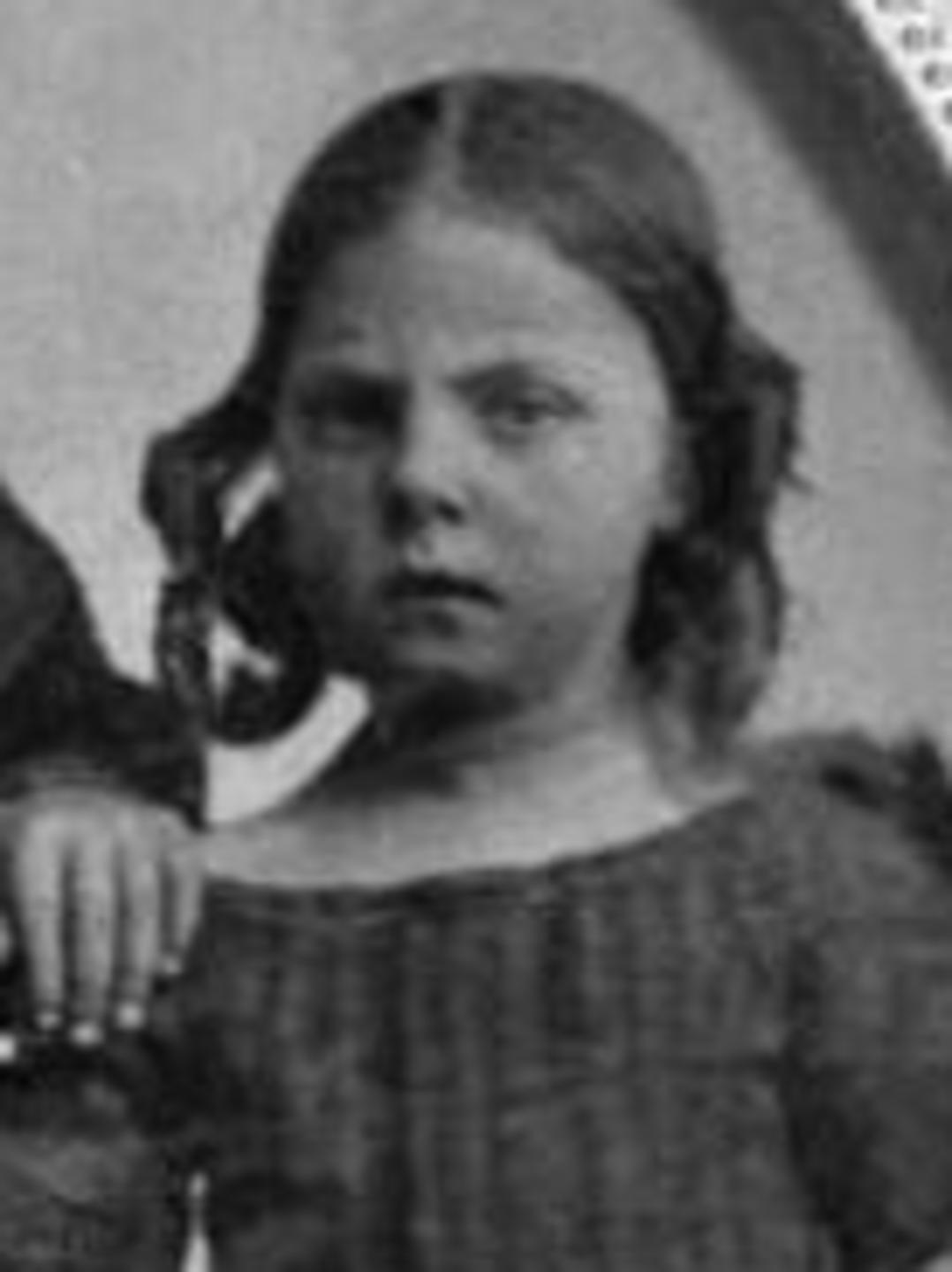 Martha Walters Winder (1852 - 1930) Profile